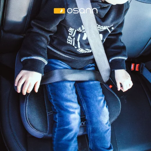Бустер Britax Roemer LUX ISOFIX