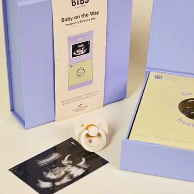 Подарочный набор пустышек BIBS Colour «Baby on the Way», 0+ мес.