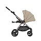 Коляска 2в1 Anex IQ Premium NEW