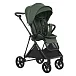Taiga Green/Рама Carbon/Pu