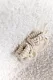 Пинетки Mimibaby, хлопок