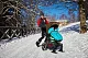 Полозья для коляски Cybex PRIAM