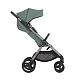 Коляска 2в1 Anex IQ Premium NEW