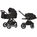 Sable Black