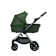 Коляска 2в1 Anex iQ Premium