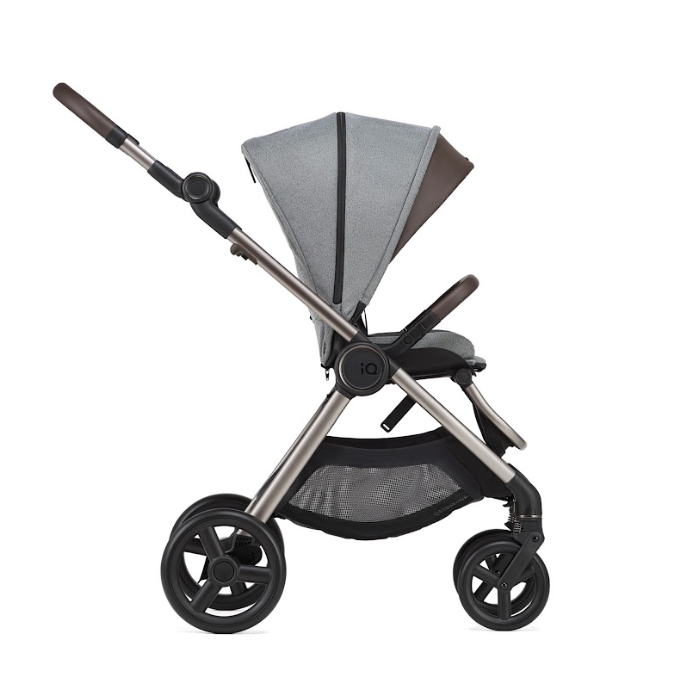 Коляска 2 в 1 Anex iQ Premium 6