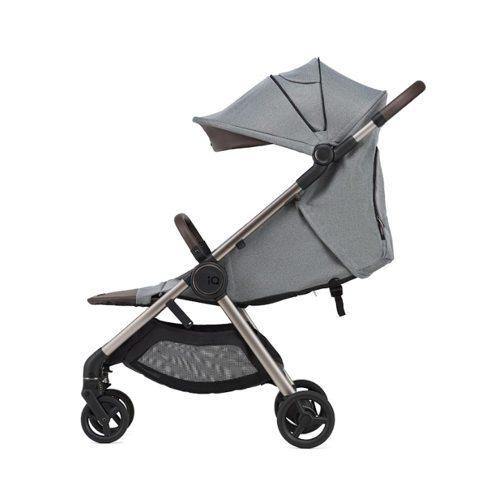 Коляска 2 в 1 Anex iQ Premium 9