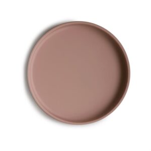 Cloudy Mauve