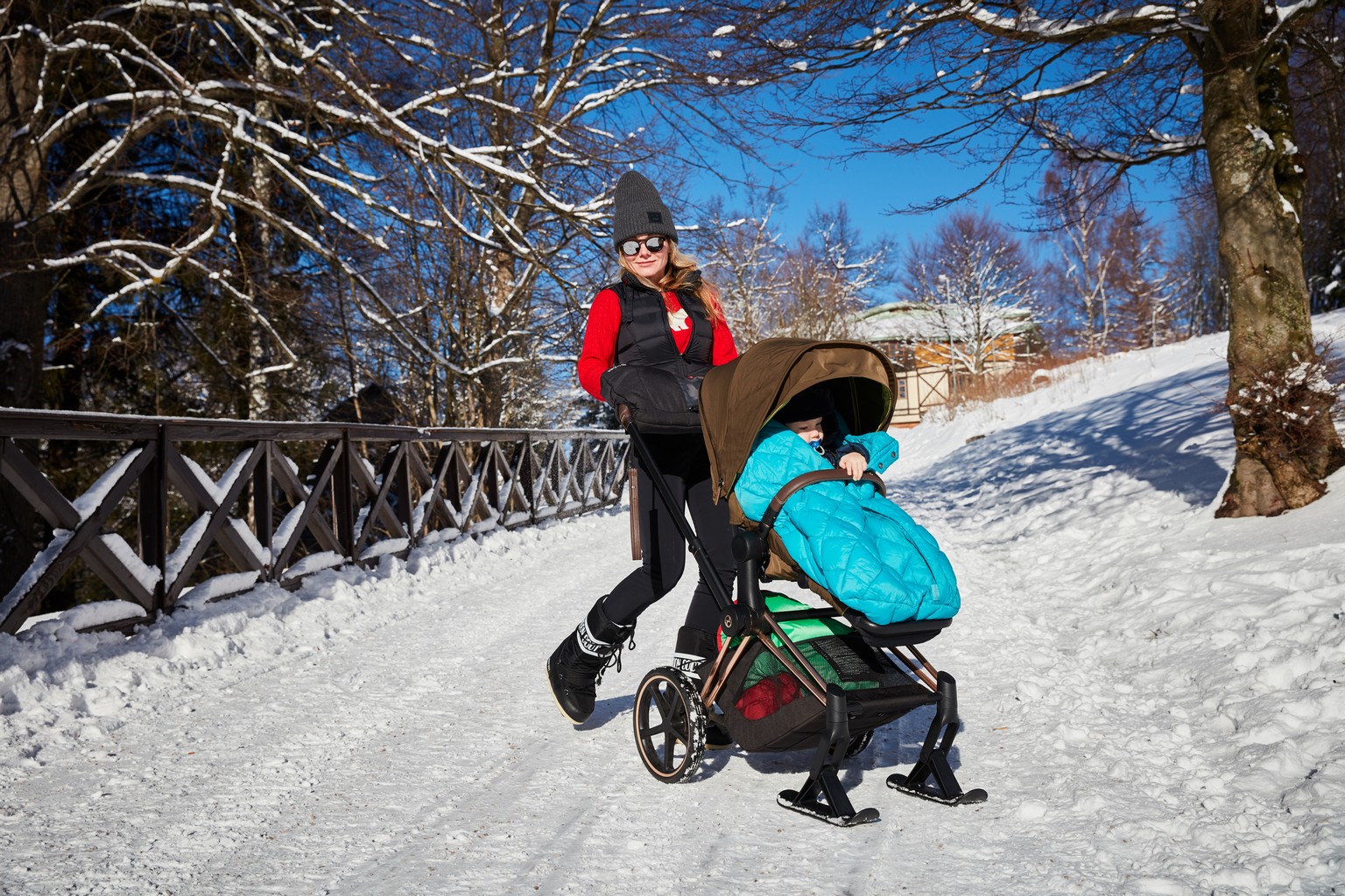 shop_property_file_25150_27715 Полозья для коляски Cybex PRIAM 14