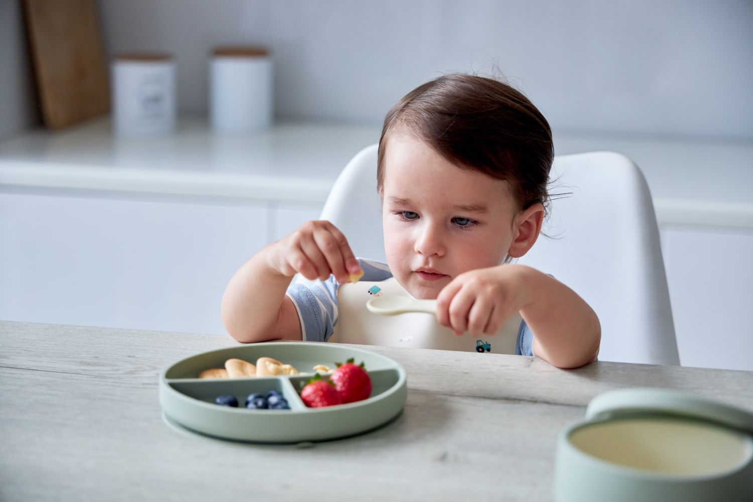 Секционная тарелка на присоске Edda, Небо 2