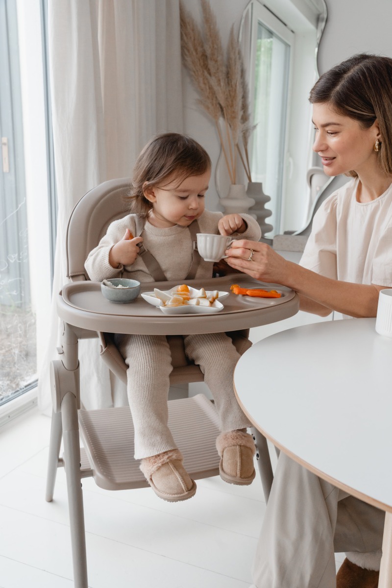 29374_36tn Стул-трансформер для кормления Anex OZY 40