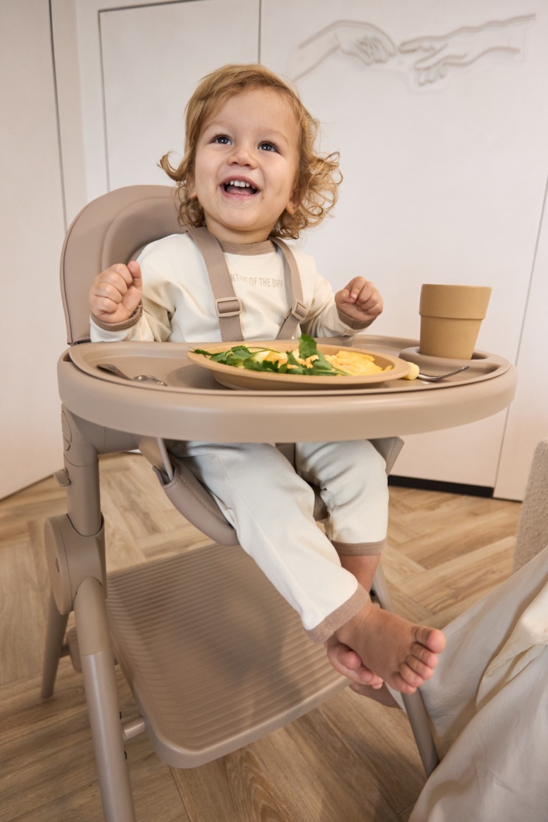 29374_IZ2b Стул-трансформер для кормления Anex OZY 35