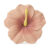 Iris the Hibiscus