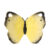 Katia the Butterfly