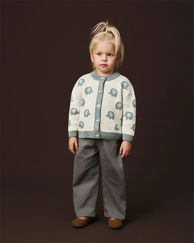 Кардиган детский Loomknits Слоники LW5269 2 кардиган слоники