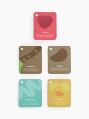 Мягкая игрушка Happy Baby ,FUNNY ANATOMY «ФАНИ АНАТОМИ»